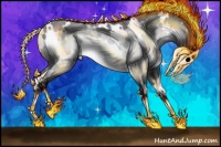 Horse Color:White Spotted Bay Chinchilla 