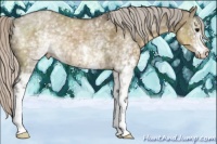 Horse Color:White Spotted Silver Smoky Grullo 