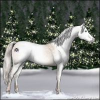 Horse Color:Gray White Spotted Silver Sable Champagne Dun 