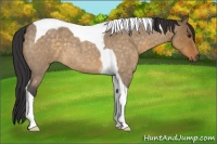 Horse Color:Buckskin Roan Dun Tobiano 