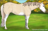Horse Color:Palomino Ice Dun Splash 