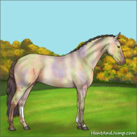 Horse Color:Nacre Buckskin Roan Dun Rabicano 