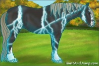 Horse Color:Thunderstruck Liver Chestnut Sabino 