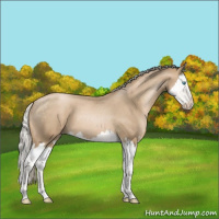 Horse Color:Chocolate Palomino Pearl Sabino Splash Appaloosa 