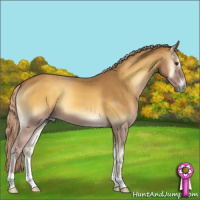 Horse Color:Palomino Onyx 
