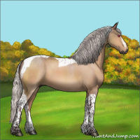 Horse Color:Gray Chocolate Silver Brown Chinchilla Tobiano 