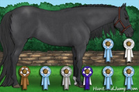 Horse Color:Blue Roan 