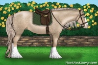 Horse Color:Chocolate Palomino Pearl Sabino Rabicano 