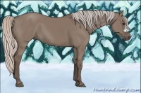 Horse Color:Silver Grullo 