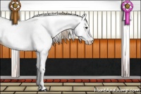 Horse Color:Red Dun Appaloosa 