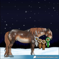 Horse Color:Gray White Spotted Liver Chestnut Tobiano 