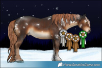 Horse Color:Gray White Spotted Liver Chestnut Tobiano