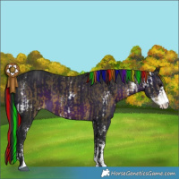 Horse Color:Painted Brown Sabino and Gray Painted Brown Sabino