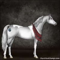 Horse Color:Silver Brown Chinchilla Tobiano 