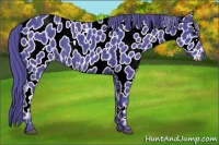 Horse Color:Watercolor Black Appaloosa 