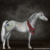 Horse Color:Silver Grullo Chinchilla 