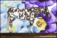 Horse Color:Liver Chestnut Appaloosa 