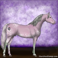 Horse Color:Watercolor Silver Bay Ice Sabino
