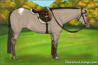 Horse Color:Liver Red Dun Appaloosa Brindle 