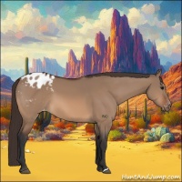 Horse Color:Bay Dun Appaloosa 