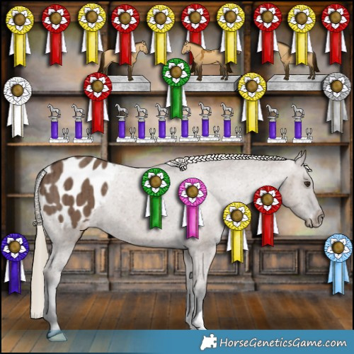 Horse Color:Liver Red Dun Appaloosa Brindle 