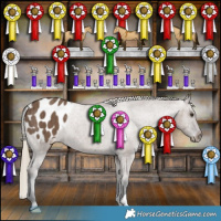 Horse Color:Liver Red Dun Appaloosa Brindle 