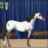 Horse Color:Liver Red Dun Near Fewspot 