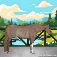 Horse Color:Liver Red Dun Rabicano 