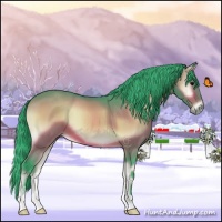 Horse Color:Watercolor Bay Onyx 
