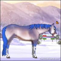 Horse Color:Watercolor Bay Onyx 