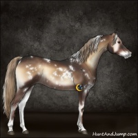 Horse Color:White Spotted Liver Red Onyx Rabicano 