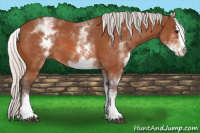 Horse Color:White Spotted Silver Bay Splash 