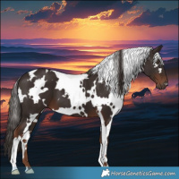 Horse Color:White Spotted Liver Chestnut