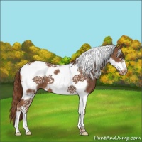 Horse Color:Chestnut Tobiano Frame Varnish 