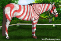 Horse Color:Buckskin Appaloosa