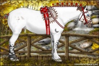 Horse Color:Bay Splash Tobiano
