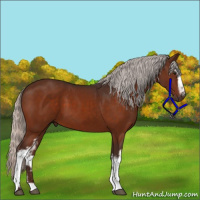 Horse Color:White Spotted Silver Brown
