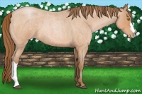 Horse Color:Bay Roan Pearl
