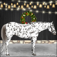 Horse Color:Smoky Black Leopard 