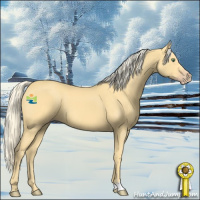 Horse Color:Gold Cream Champagne 