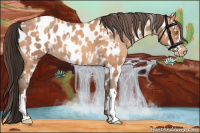 Horse Color:Amber Champagne Appaloosa  and Amber Champagne Appaloosa 