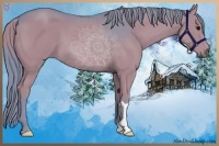 Horse Color:Watercolor Black 