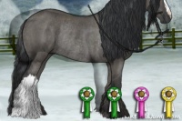 Horse Color:Grullo Rabicano 