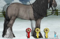 Horse Color:Grullo Rabicano 