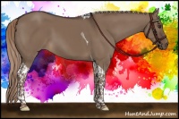 Horse Color:Liver Red Dun Tobiano 
