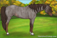 Horse Color:Liver Red Roan 