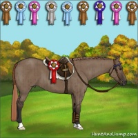 Horse Color:Liver Red Dun Brindle 