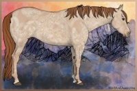 Horse Color:Red Dun Ice 