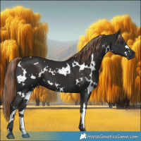 Horse Color:White Spotted Liver Chestnut 