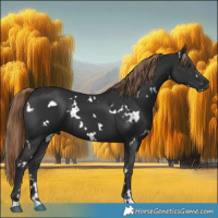Horse Color:White Spotted Liver Chestnut 